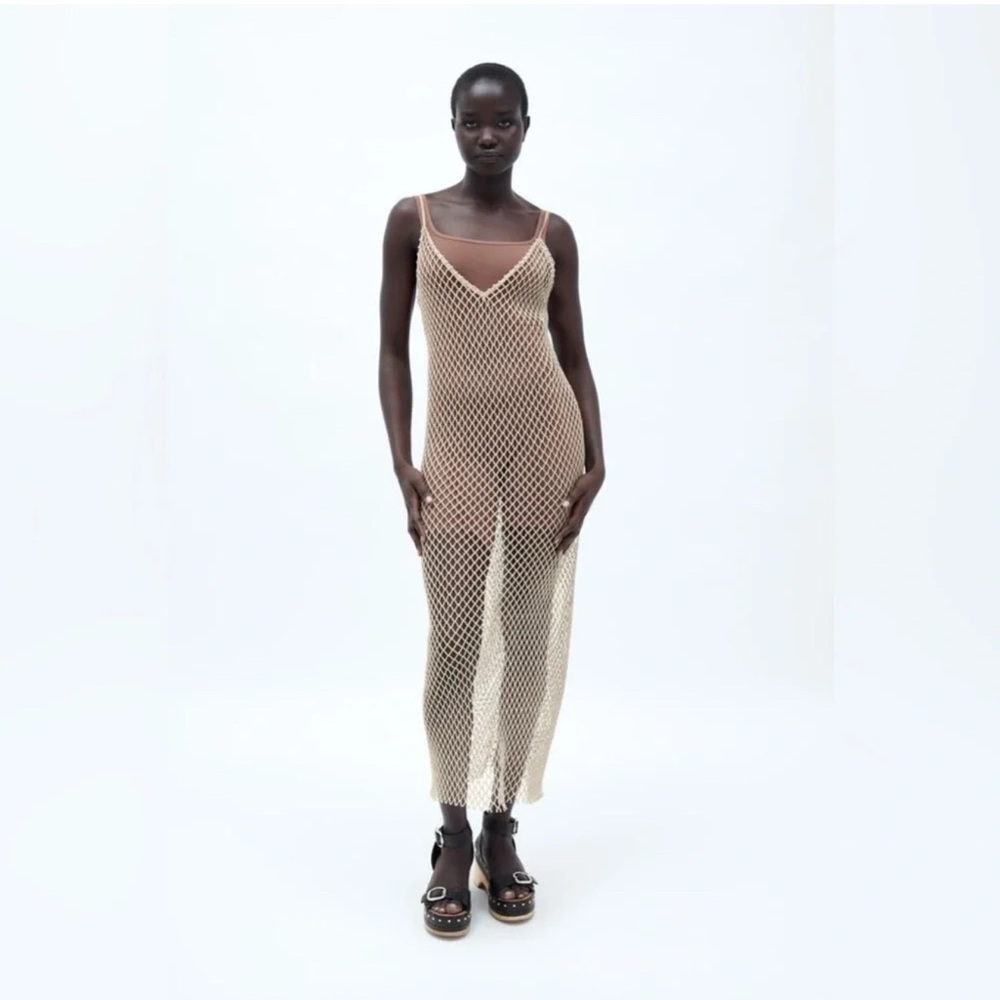 Zara Metallic Thread Tulle Maxi Dress